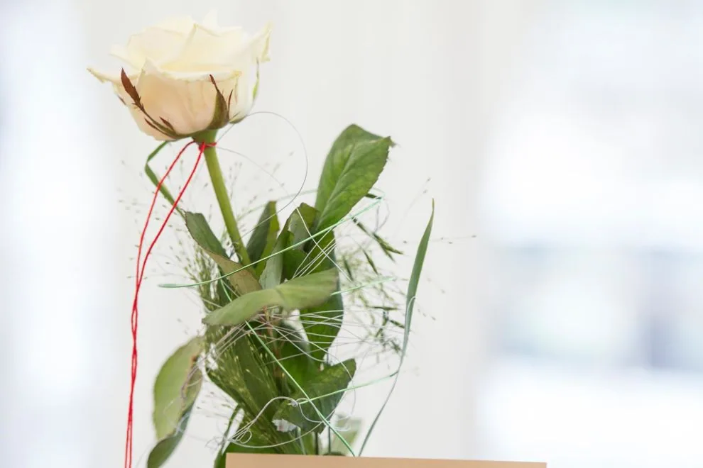 60 Jahre Plaston - 006